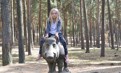 nature wild boar ride