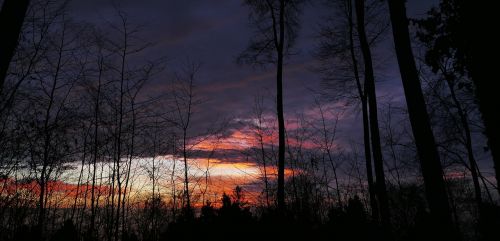 nature landscape weather