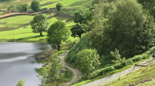 nature  summer  landscape