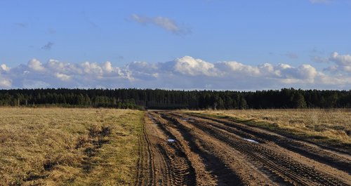 nature  landscape  at the court of