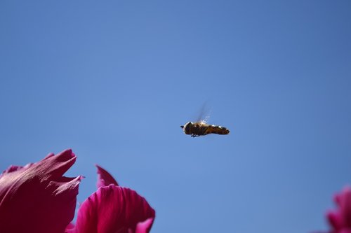 nature  himmel  outdoor