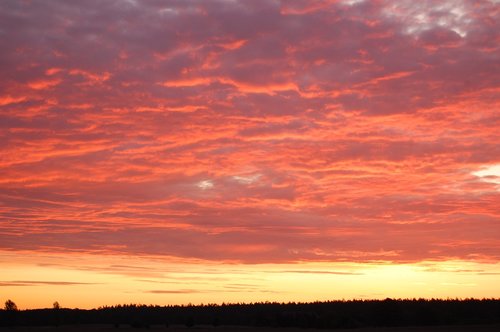 nature  sunset  dawn