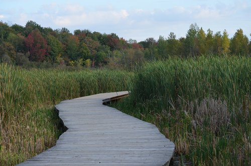 nature  body of water  landscape