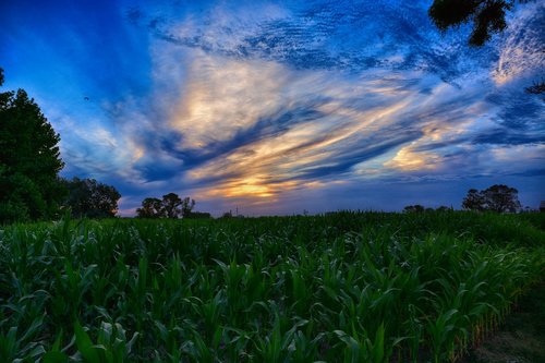 nature  sun  sky