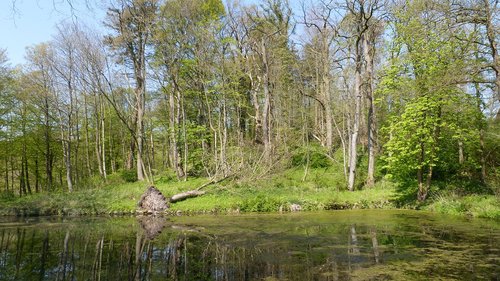 nature  waters  landscape