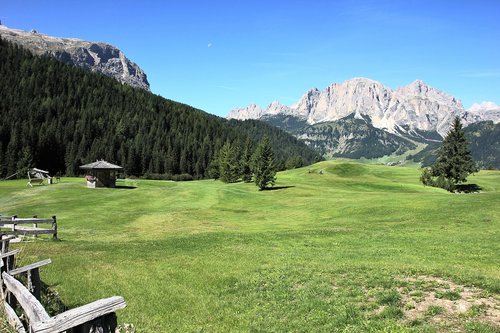 nature  grass  landscape