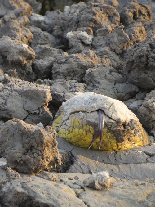 nature  rock  stone