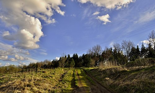 nature  panoramic  sky