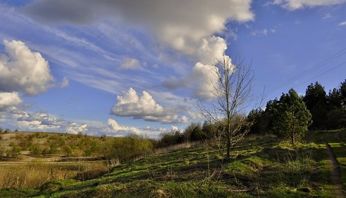 nature  panoramic  sky