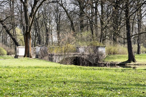 nature  spring  bridge