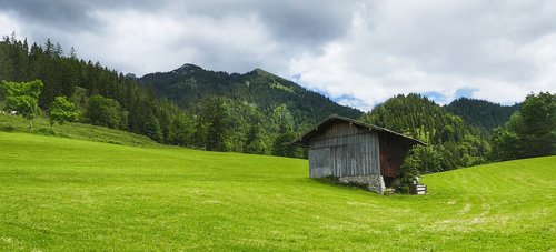 nature  grass  panorama