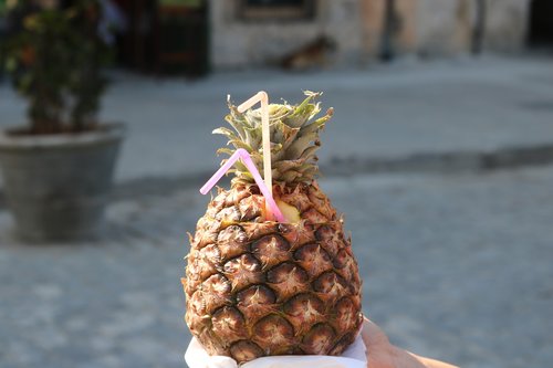 nature  food  fruit