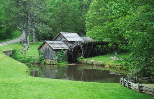 nature  water  wood