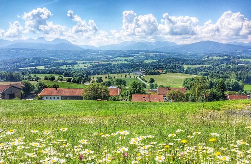 nature  landscape  field