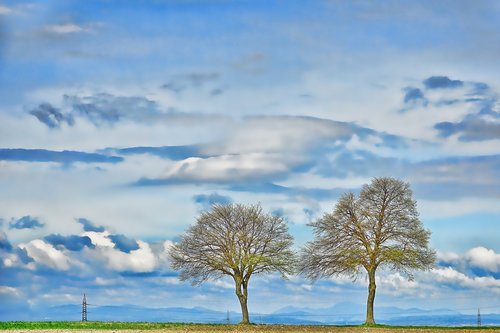 nature  sky  landscape