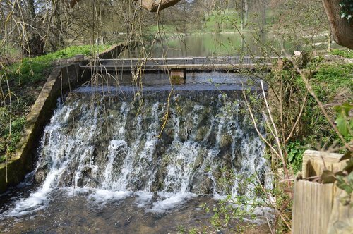 nature  water  wood