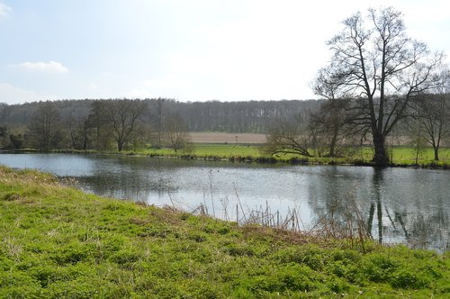 nature  water  panoramic