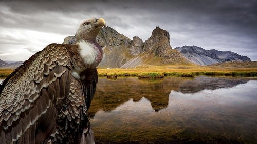 nature  majestic  sky