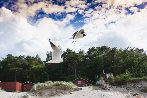 nature  sky  travel