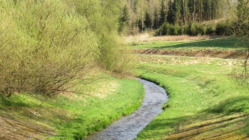 nature  grass  landscape