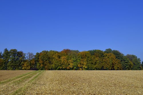 nature  panorama  landscape