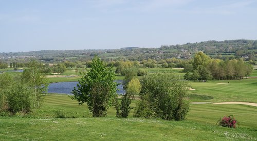 nature  landscape  lawn