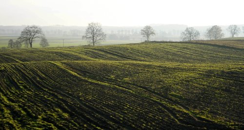 nature  landscape  field