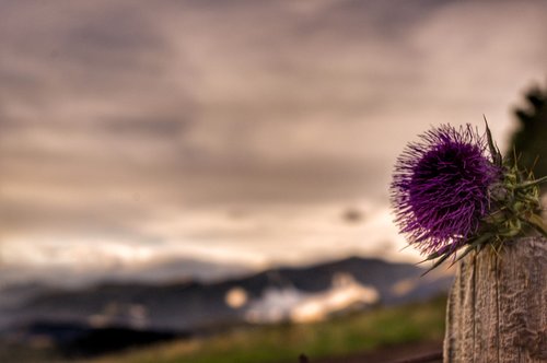 nature  sunset  pyrenees