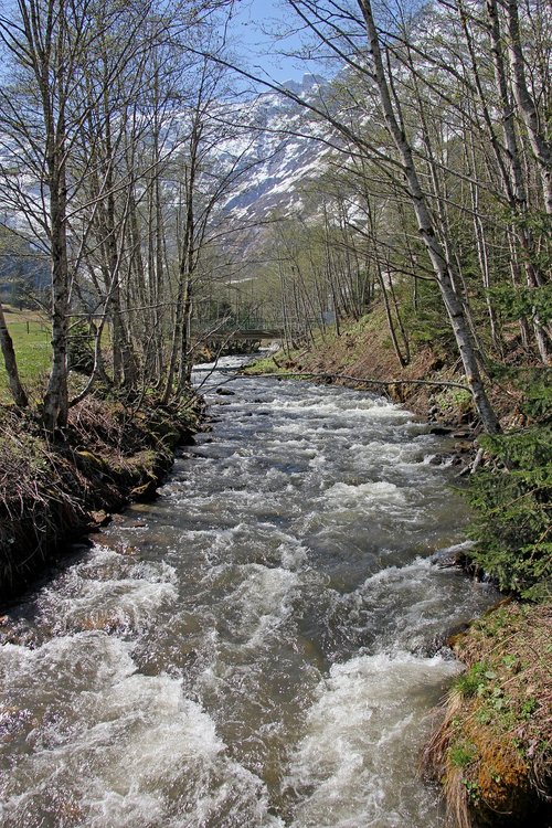 nature  wood  waters