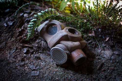 nature  wood  gas mask