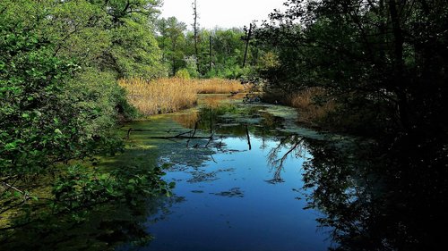 nature  body of water  river