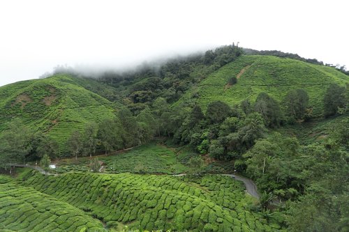 nature  hill  landscape