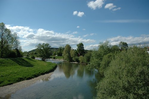 nature  waters  tree