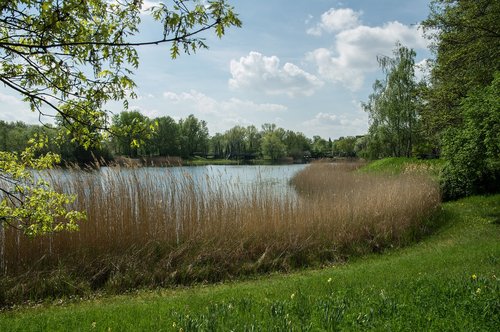 nature  lake  bank