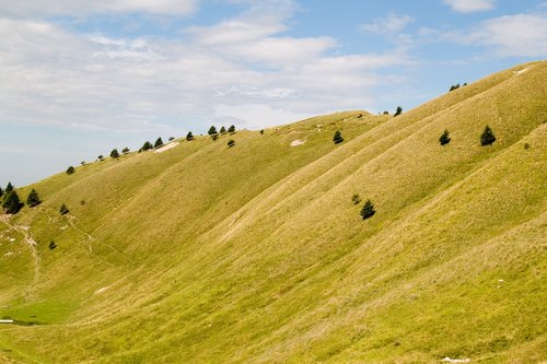 nature  landscape  summer