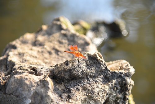 nature  rock  stone