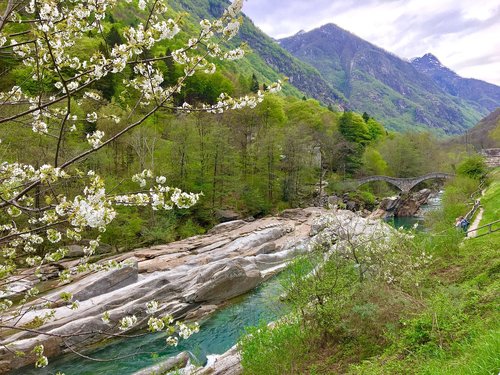 nature  waters  landscape