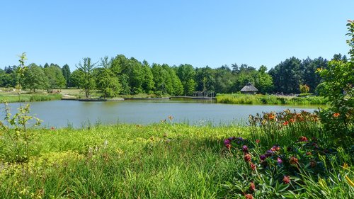 nature  waters  landscape