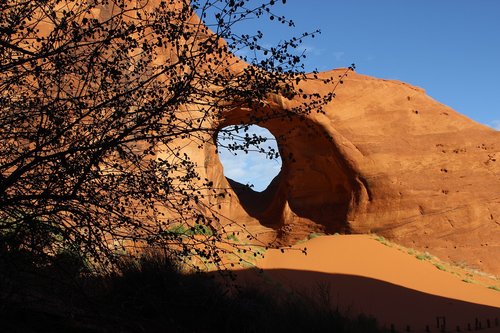 nature  landscape  tree