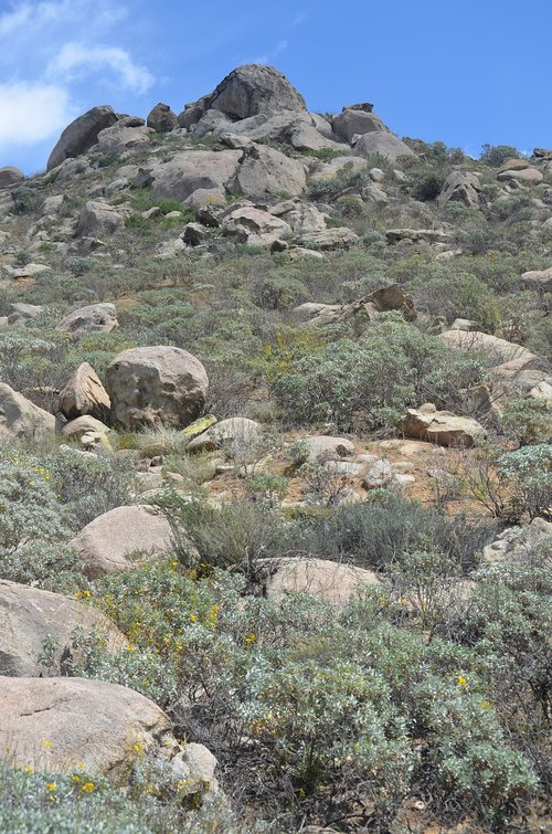 nature  rock  landscape