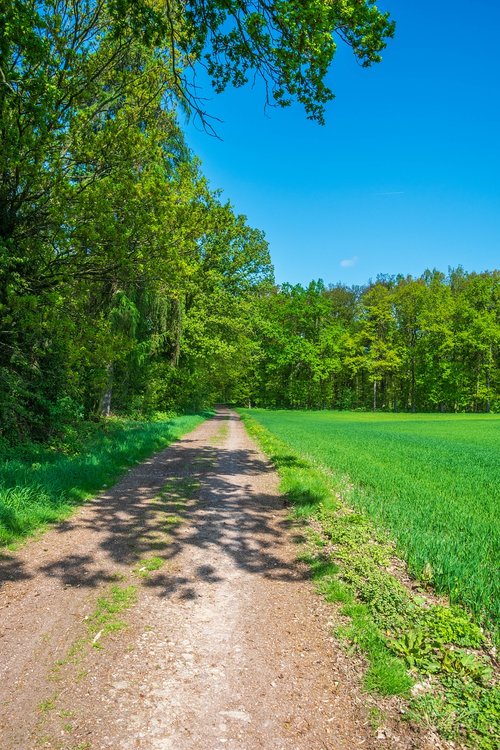 nature  away  lane