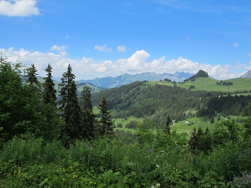 nature  landscape  jura