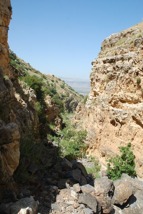 nature  israel  mountain
