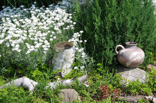 nature  garden  spring