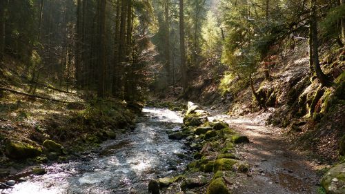 nature landscape water