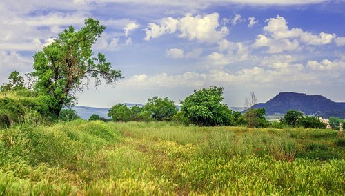 nature  landscapes  rural landscape