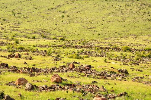 nature  landscape  plateau