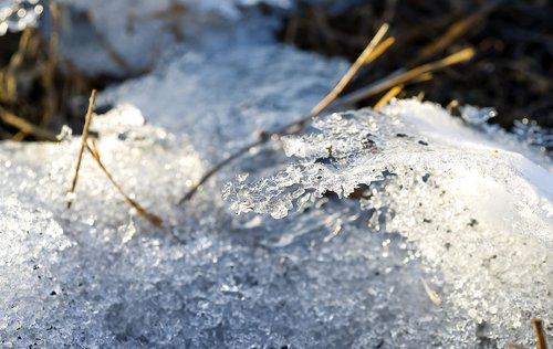 nature  spring  winter