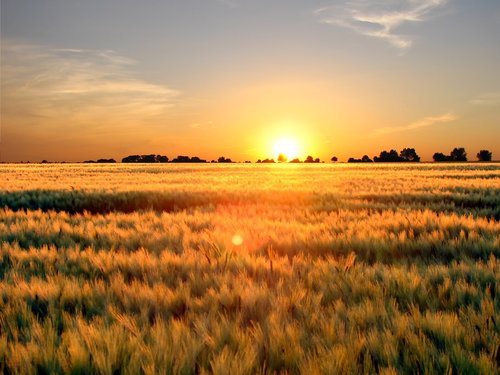 nature  sunset  abendstimmung