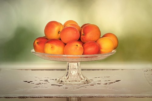 nature  apricots  prunus armeniaca